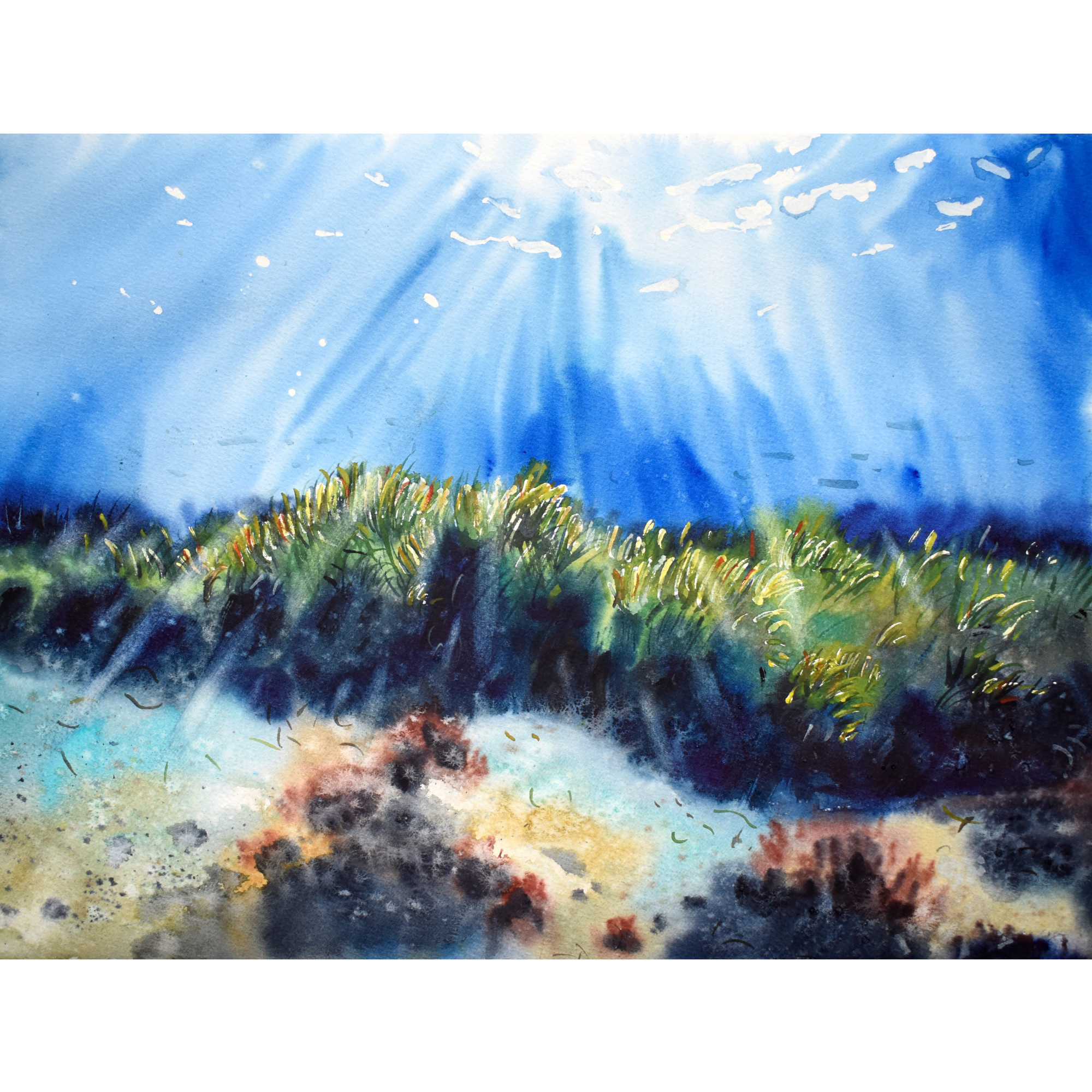 Posidonia Garden I Print