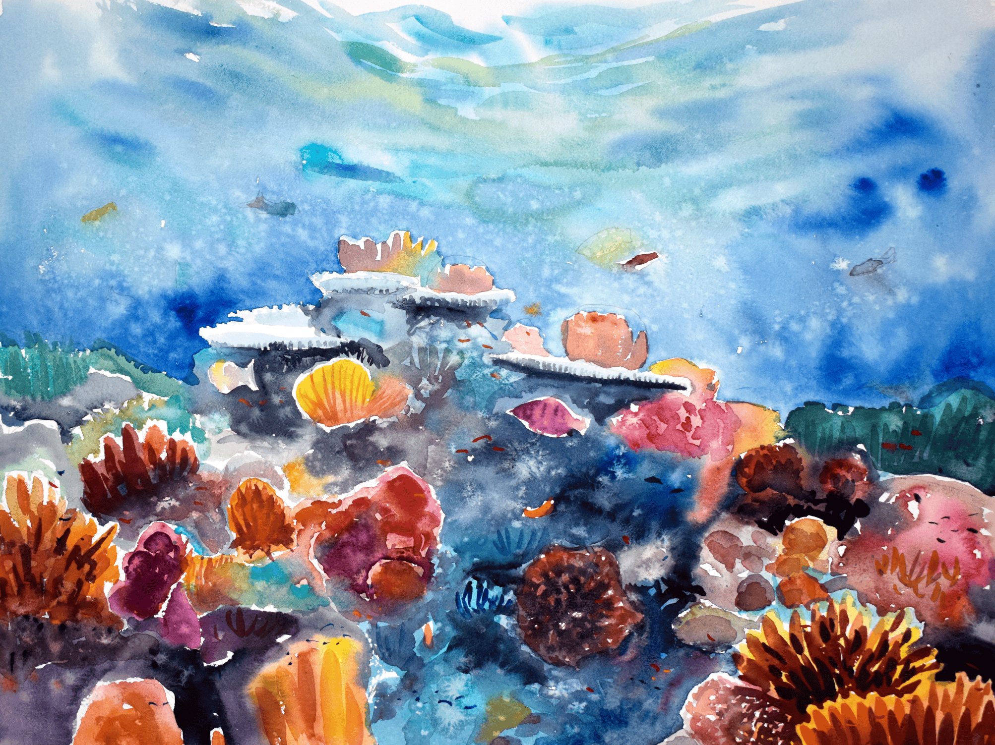 Corals Garden IV - Original Watercolor – 41x31cm