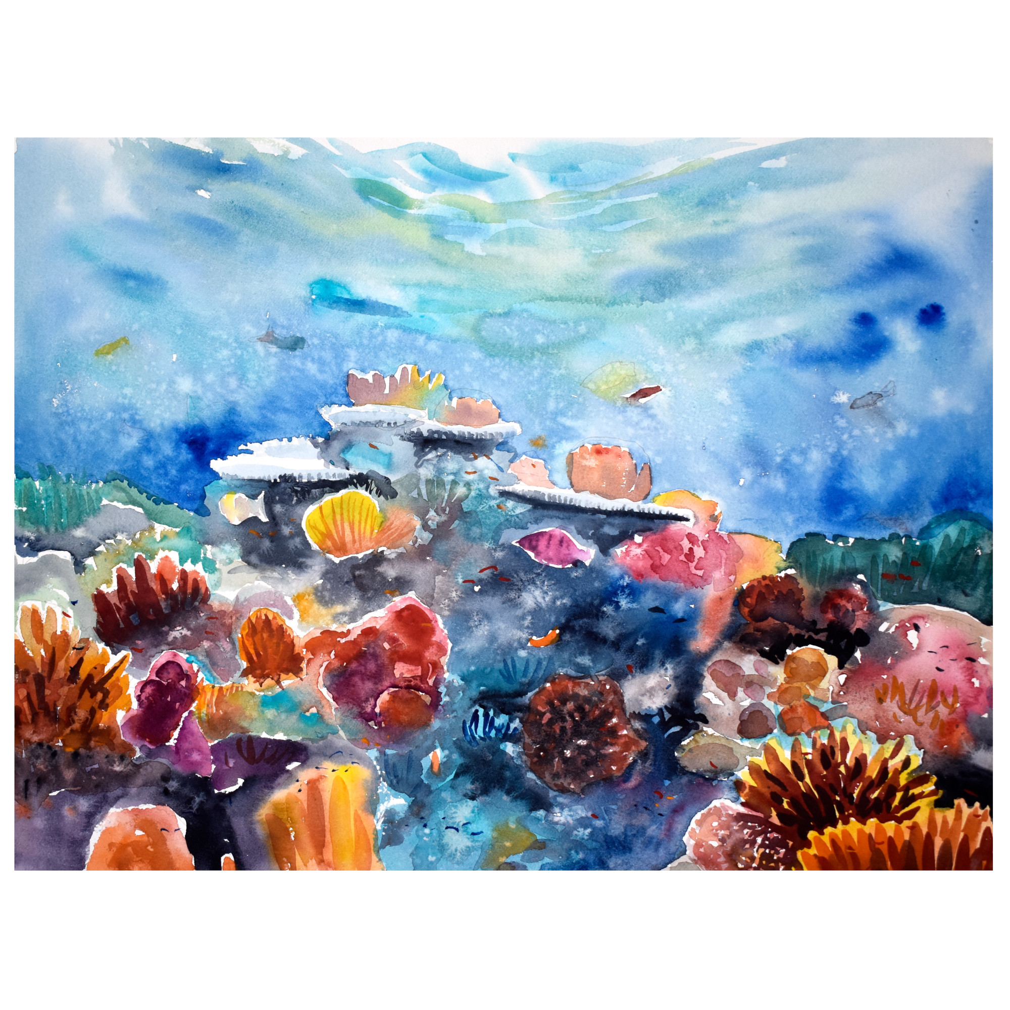Coral Garden IV Print