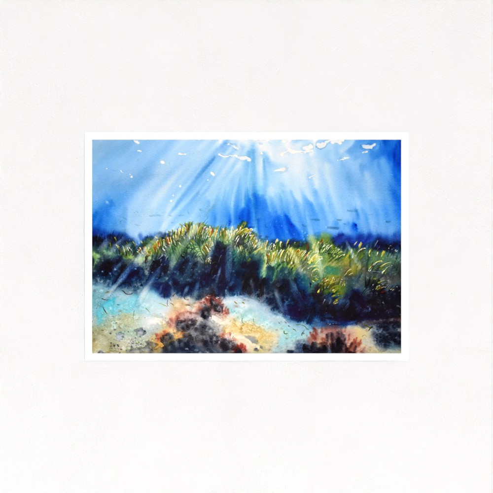 Posidonia Garden I Print - Image 3