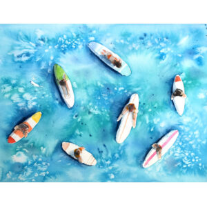 Aerial Surf View Print II