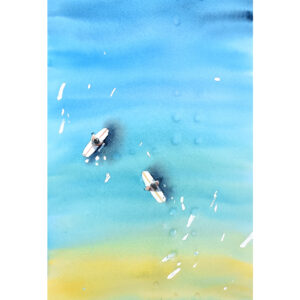 Aerial Surf View III